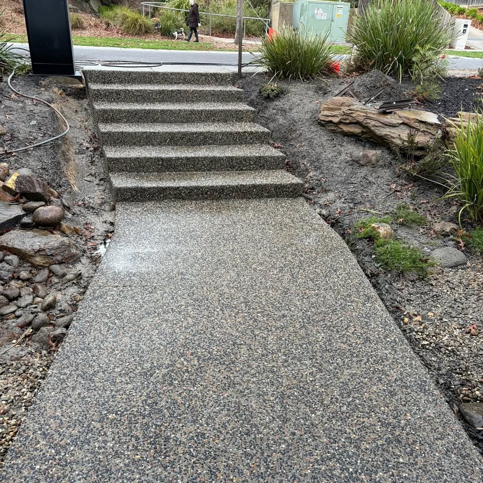 Exposed aggregate concrete steps and path leading up from the street, with garden landscaping either side